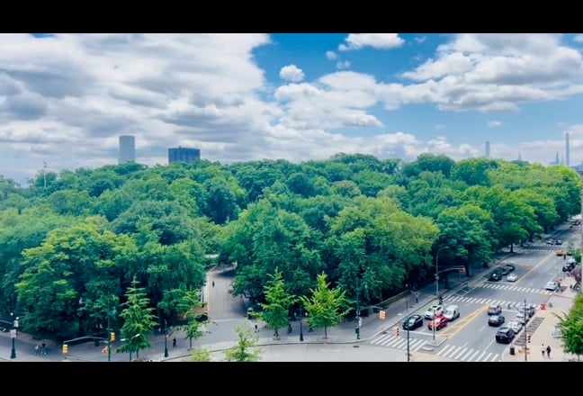🌳  Furnished Rooms by Central Park with Utilities Main Photo