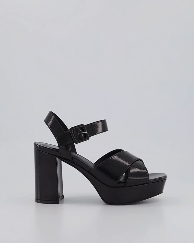 AMMA 2 /Black Patent