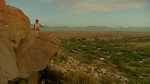 PBS Nature - Revealing The Leopard - Part 4