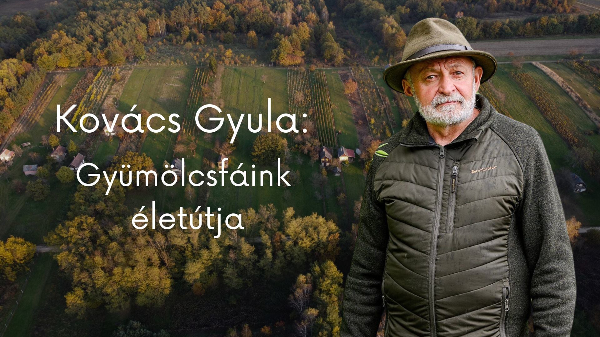 Kovács Gyula :Gyümölcsfáink életútja