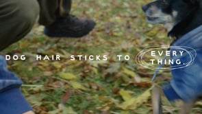 Dog Hair Sticks to Everything
