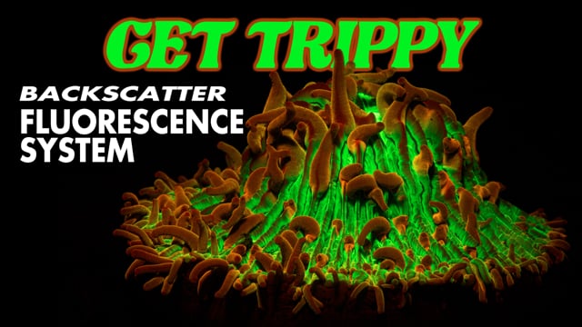 Backscatter Fluorescence System Promo