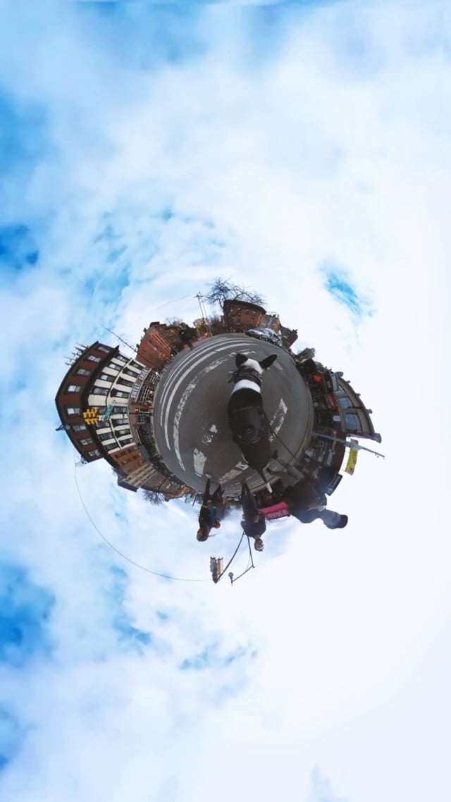 20220321_dustyReels_LittlePlanetFlatbush_v02