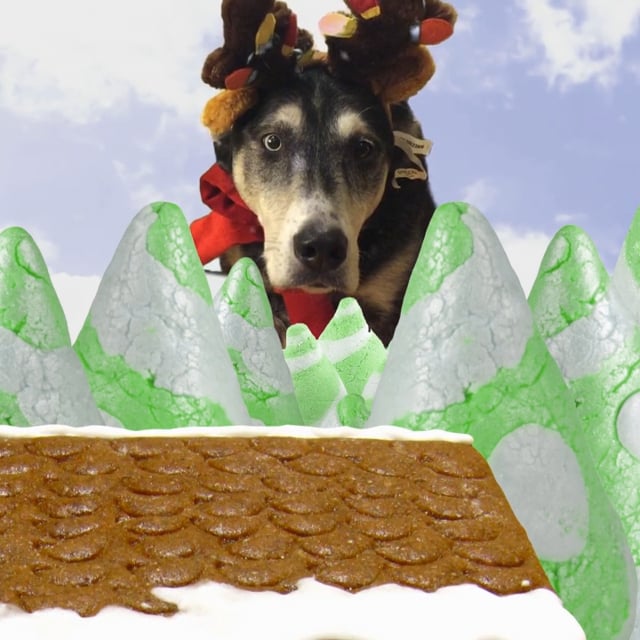 20141209_nico_GingerbreadMassacre