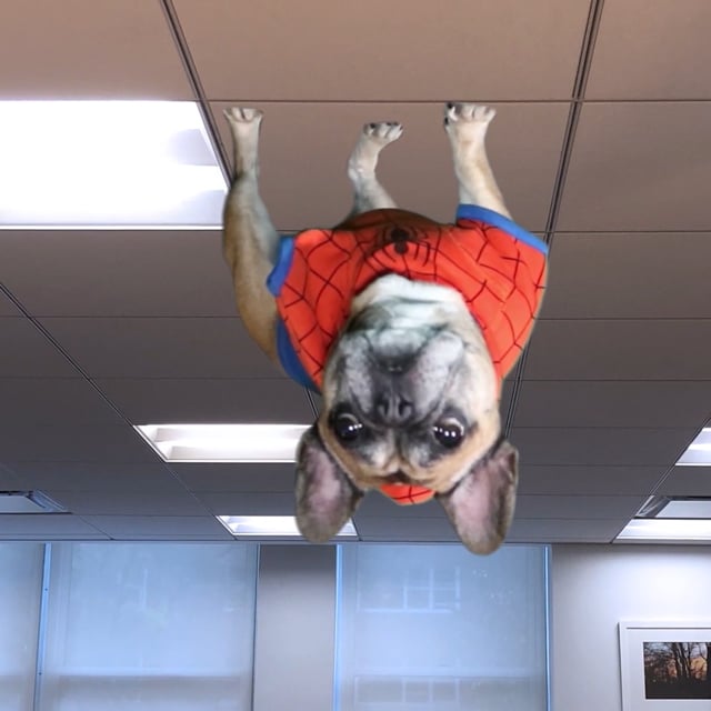 20190911_nicoVids_SpiderGwai