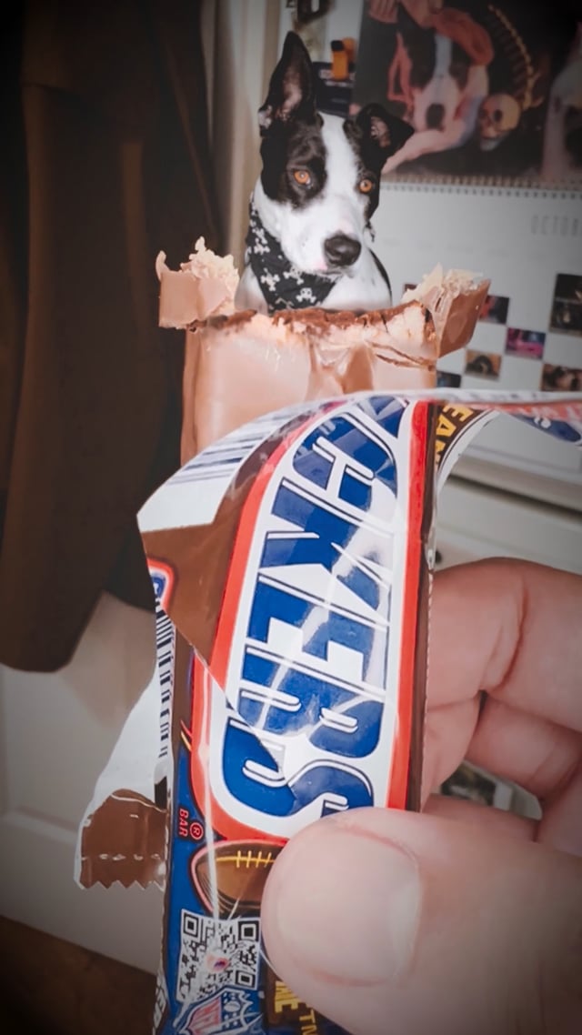 20221010_DustyReels_CheckYourCandyHalloweenSnickersChocolate
