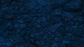 social header