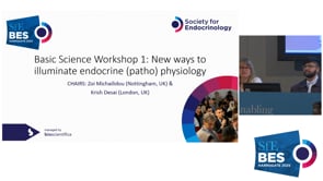 Basic Science Workshop 1: New ways to illuminate endocrine (patho)physiology: Workshop 1