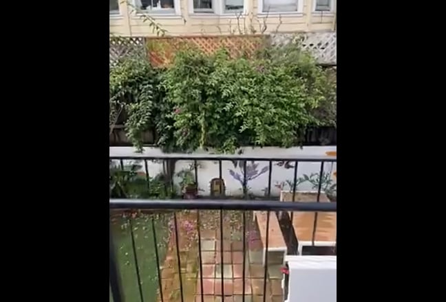 3 Beds 2 Baths Room only Main Photo