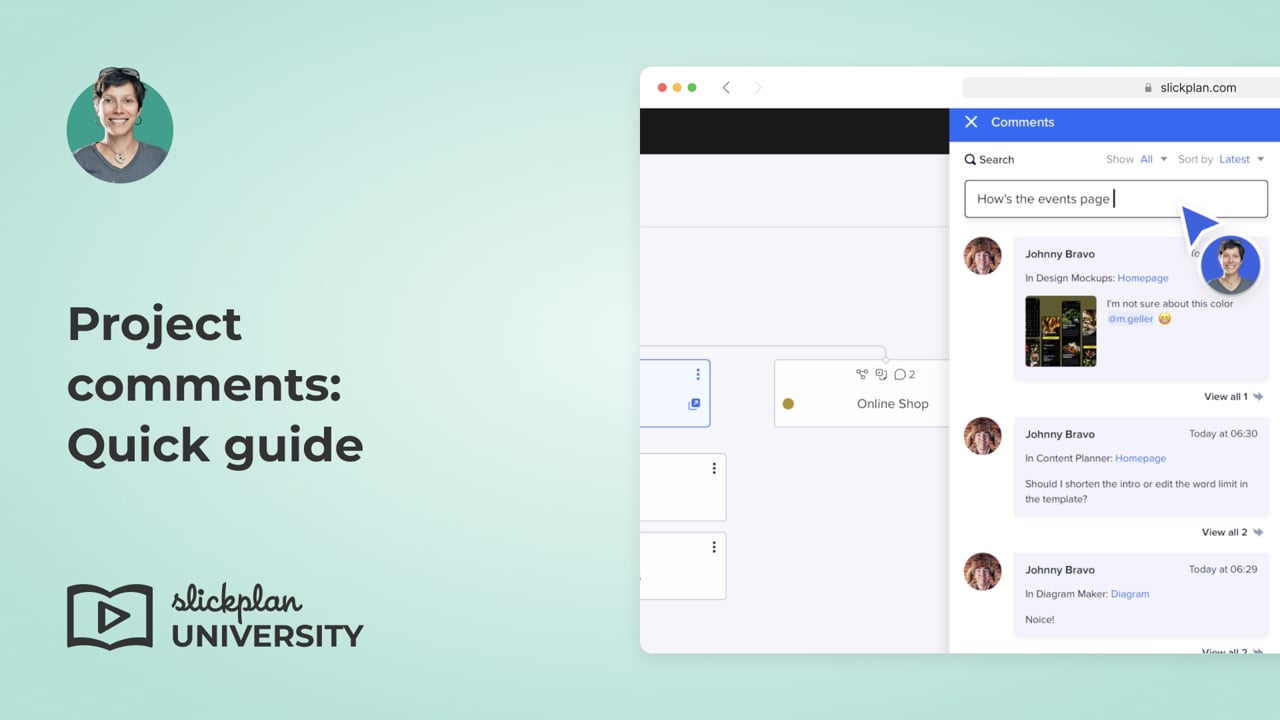 Project comments: Quick guide