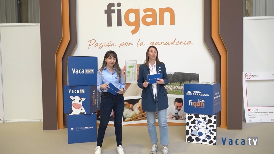 Vaca TV en Figan 2025