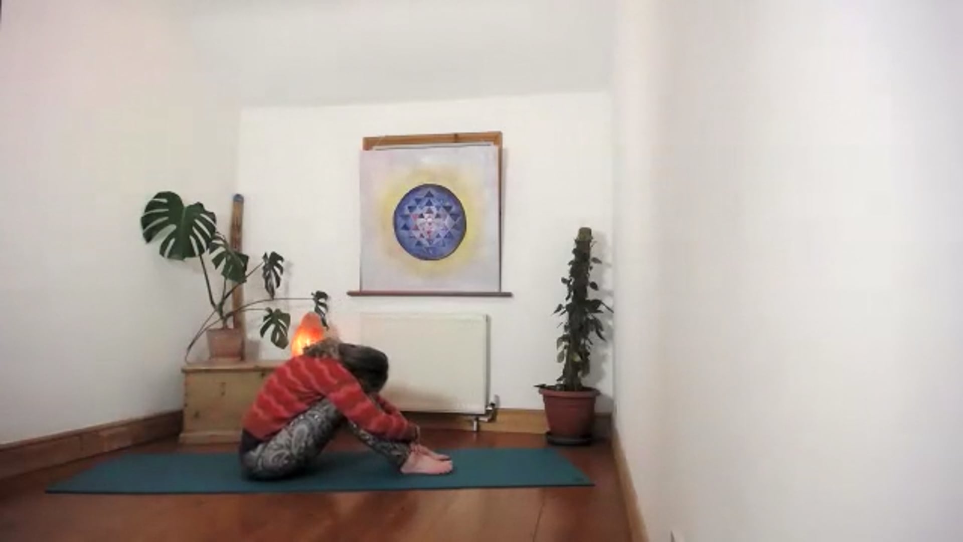 Multilevel wk 5 Vital Energy
