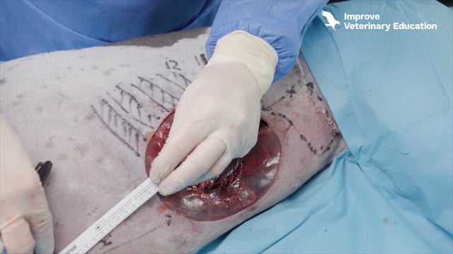 Transposition flap
