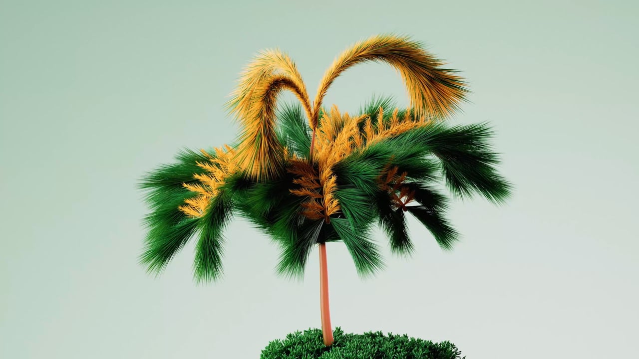 Digital Garden