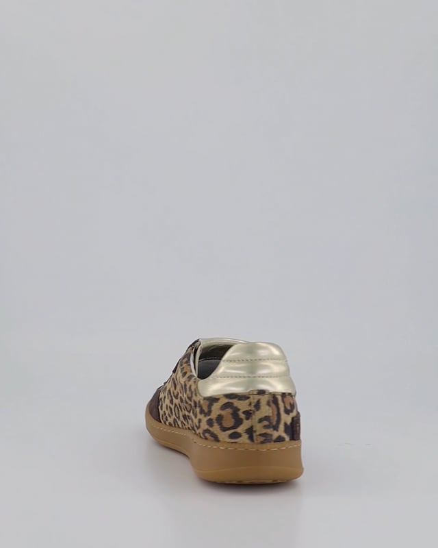 ELK / Leopard