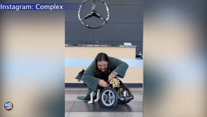 Mercedes Gifts Disabled Dog A Wheelchair