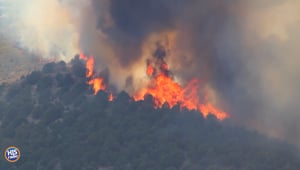Text WILDFIRE and Lend A Helping Hand
