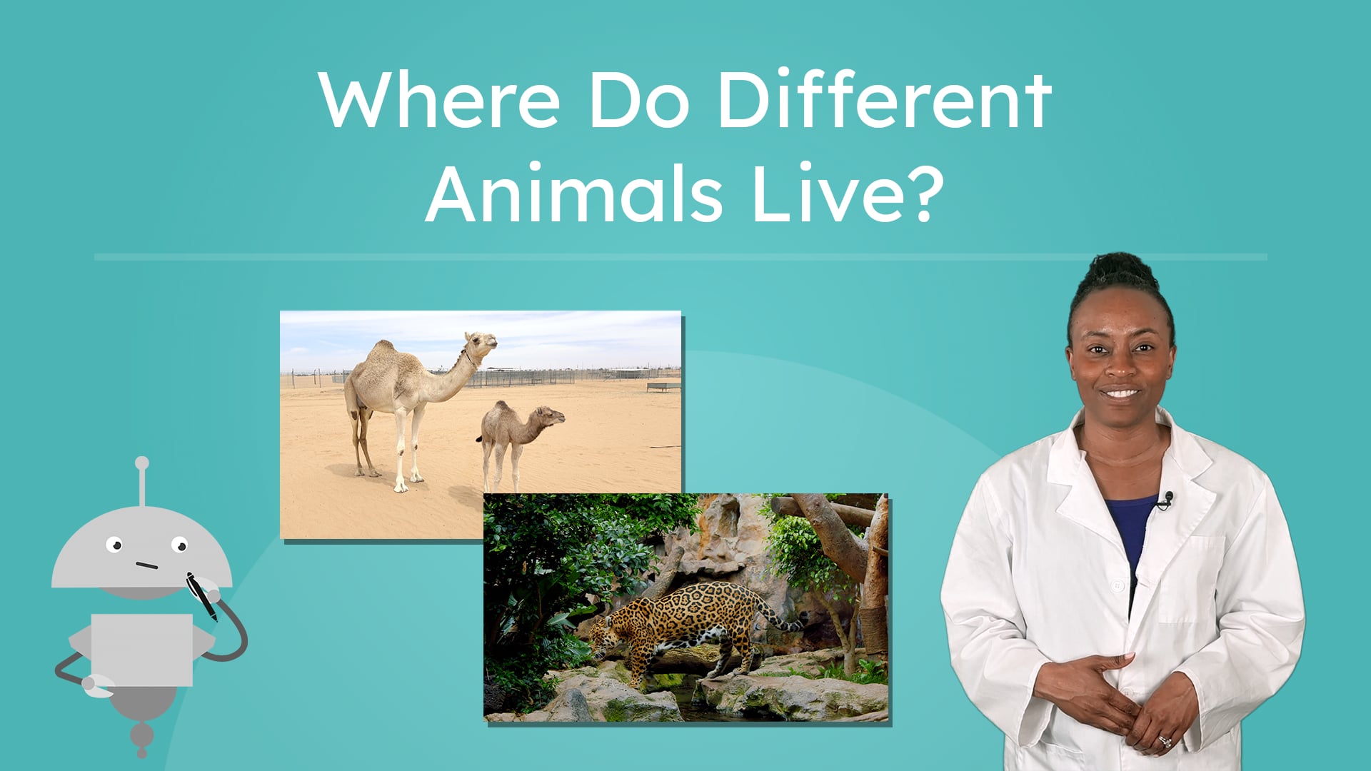 where-do-different-animals-live