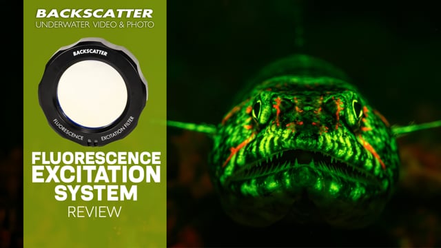 Backscatter Fluorescence Excitation Filter Review