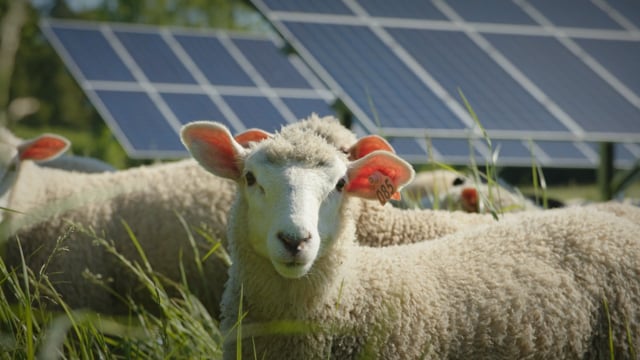 Sustainability with Our Solar Practices