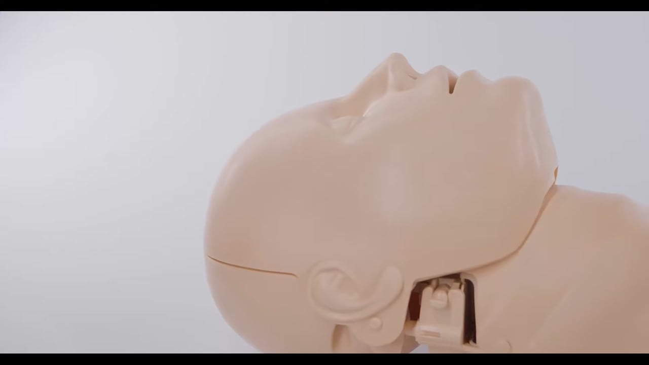 https://i.vimeocdn.com/video/1999099495-f2da3f1a6038b153b8ff1bcf1c74ddaed3ca68321e2bc2810163d5250f147961-d