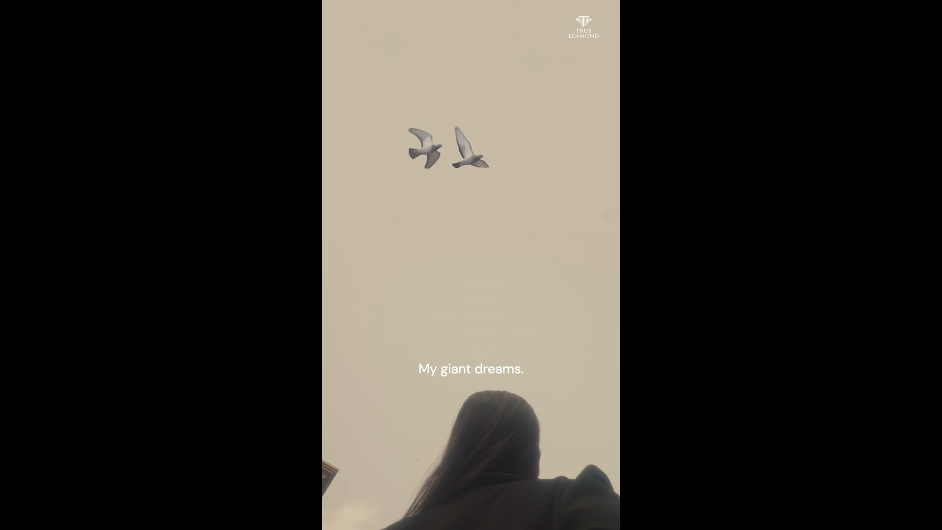 City Conquerer Film 2 _ True Diamond