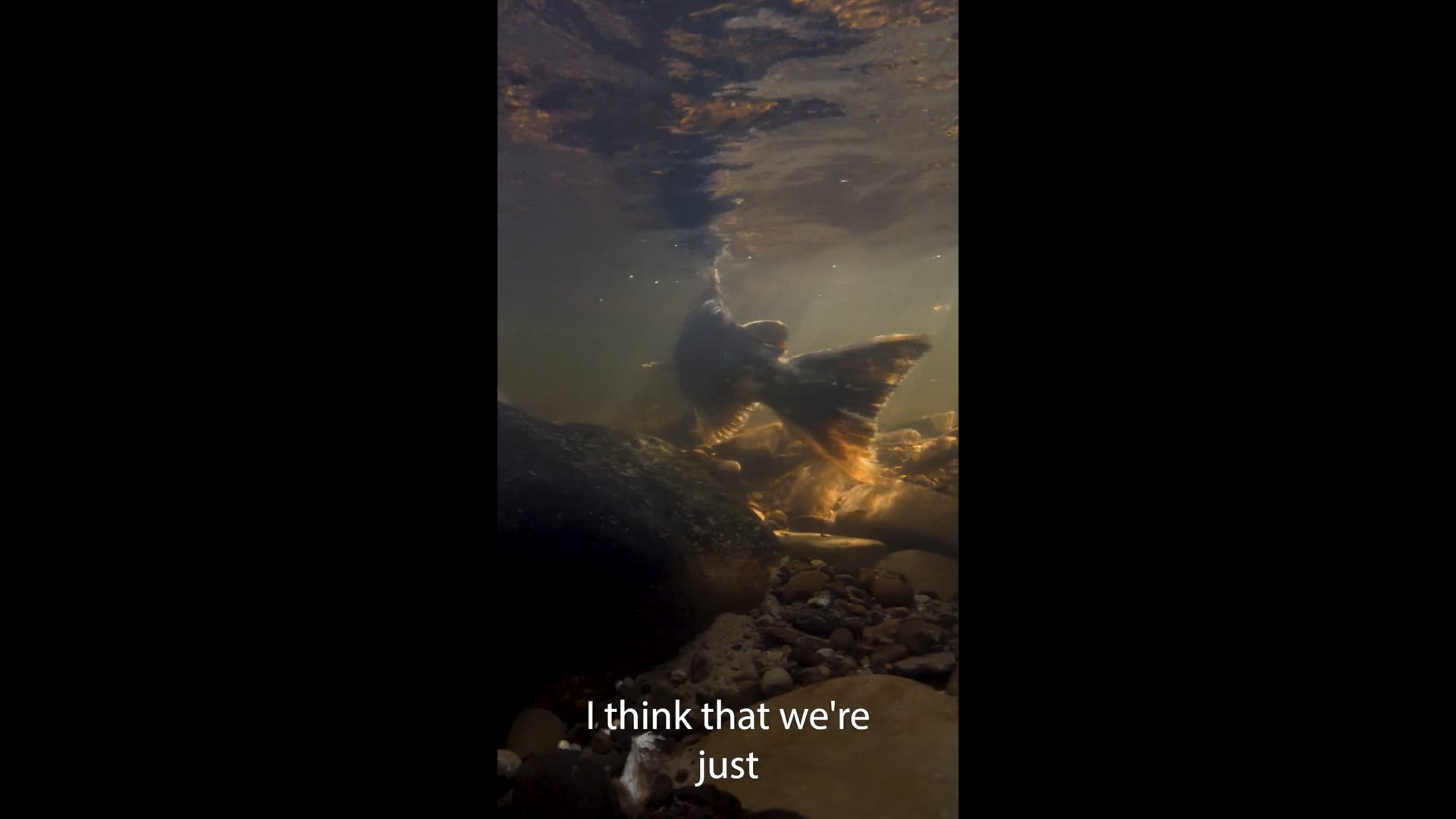 Part 6 - Place for Healing