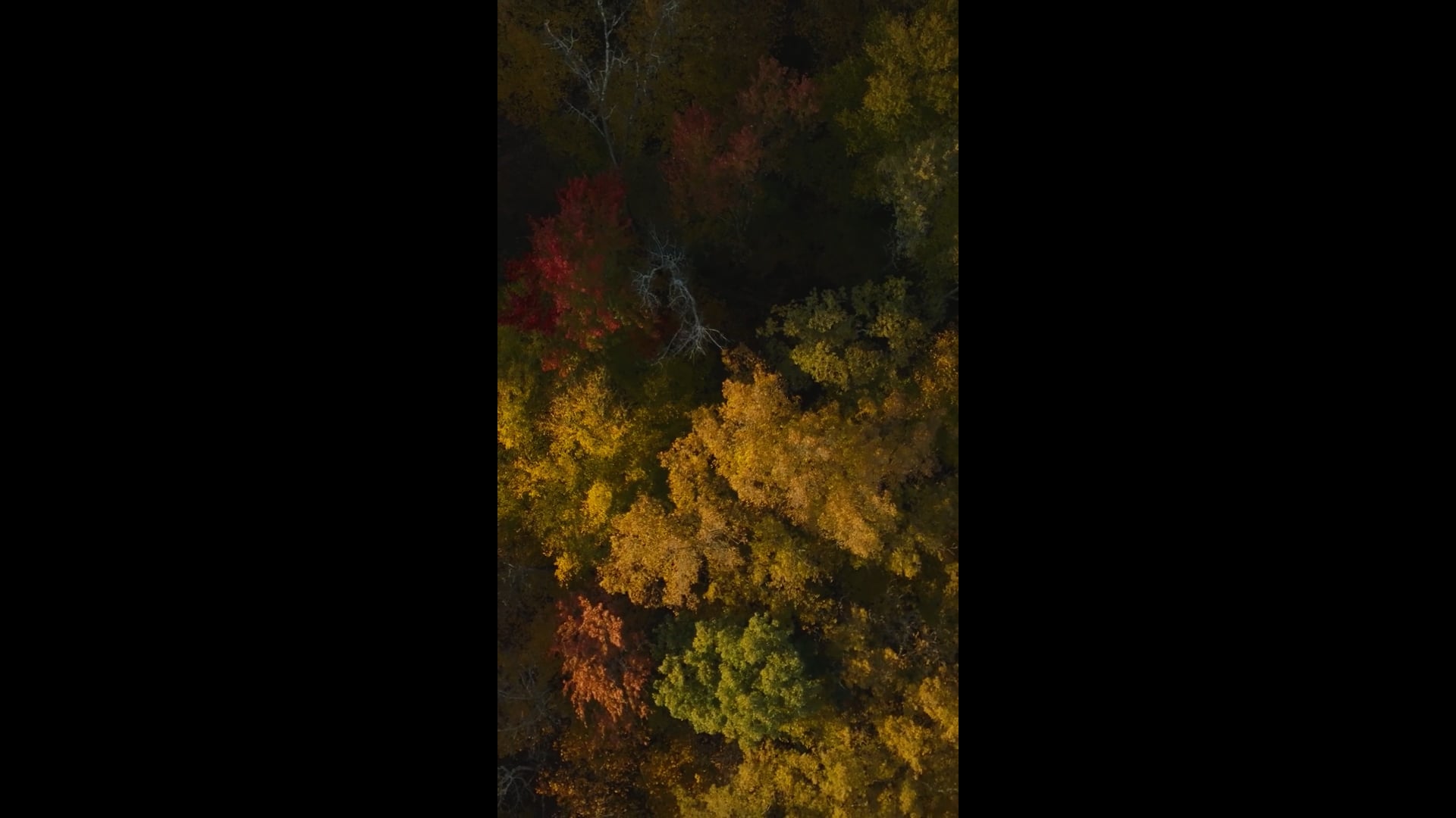 Part 5 - Cultural Connection