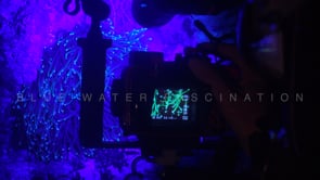 1271_Underwater photographer takes pictures of coral fluorescence