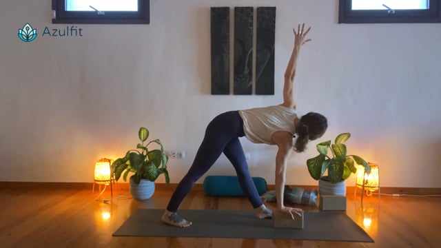 NEW! Full Body Reset - Hips & Back