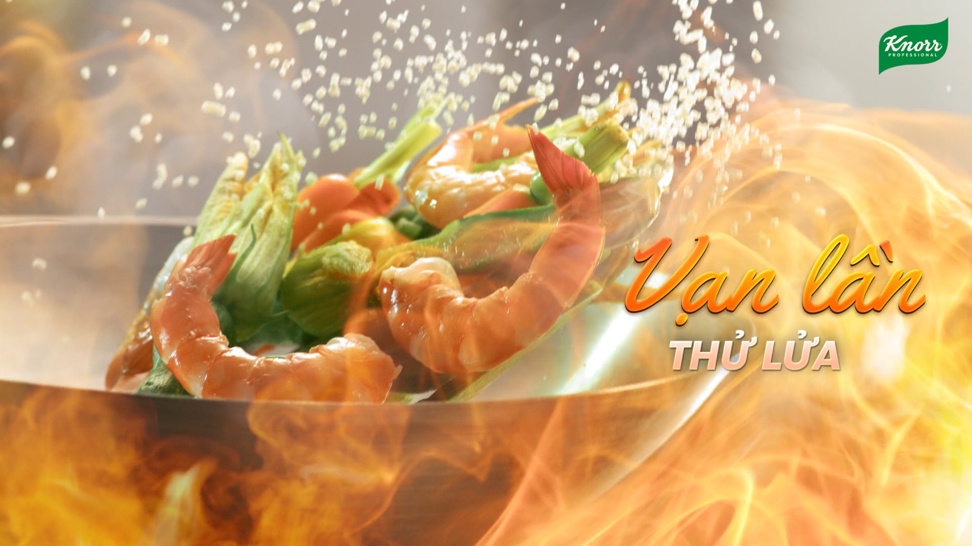 UFS KNORR - THIÊN BIẾN VẠN KHÉO