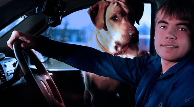 Our first commercial started with a dog
