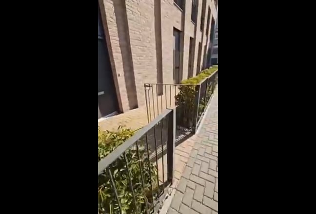 Video 1: 