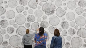 Area Environments | Interior Design Product Brand Story