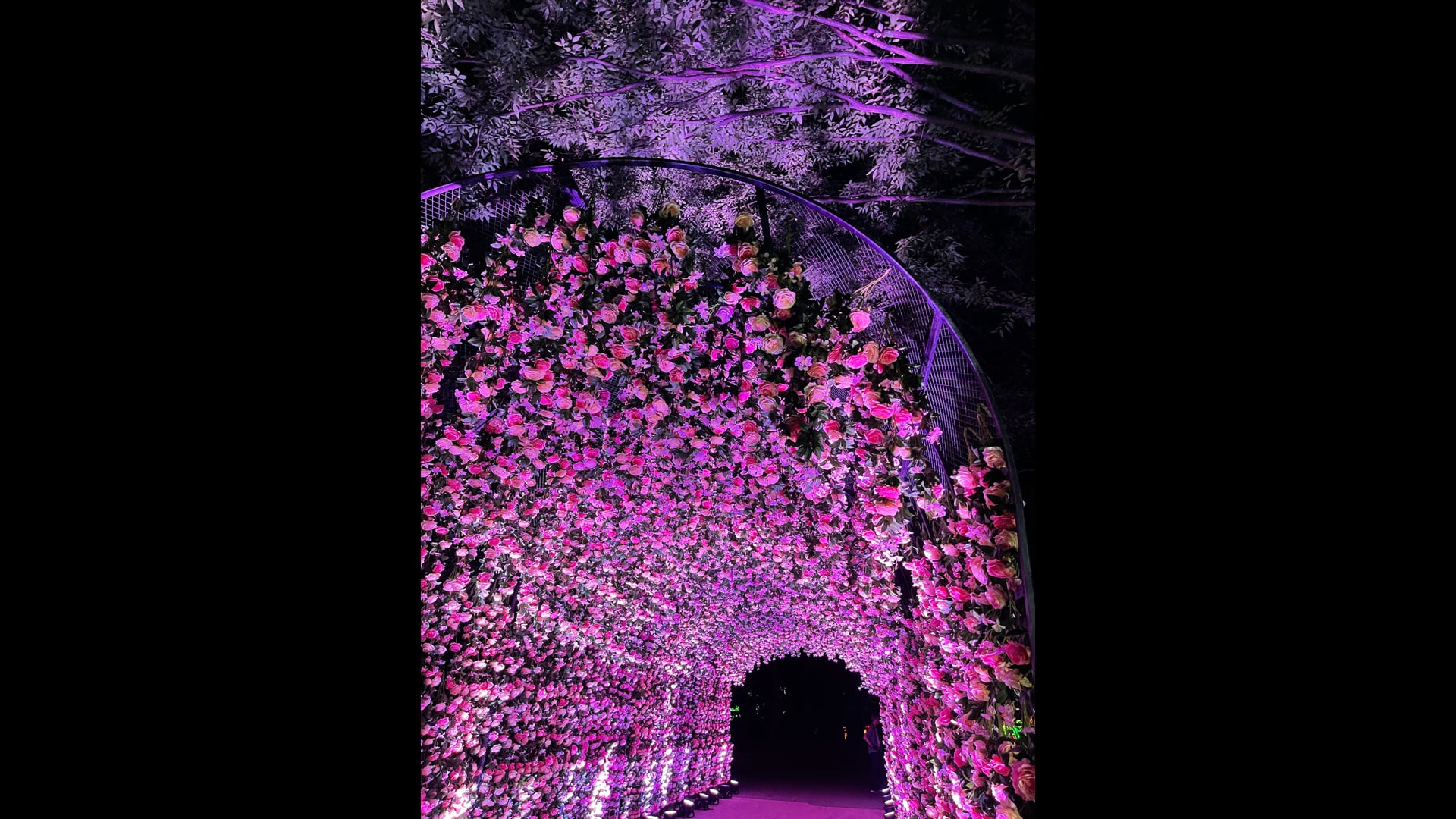 2025 March 12 : Equanimity is a Felt Experience