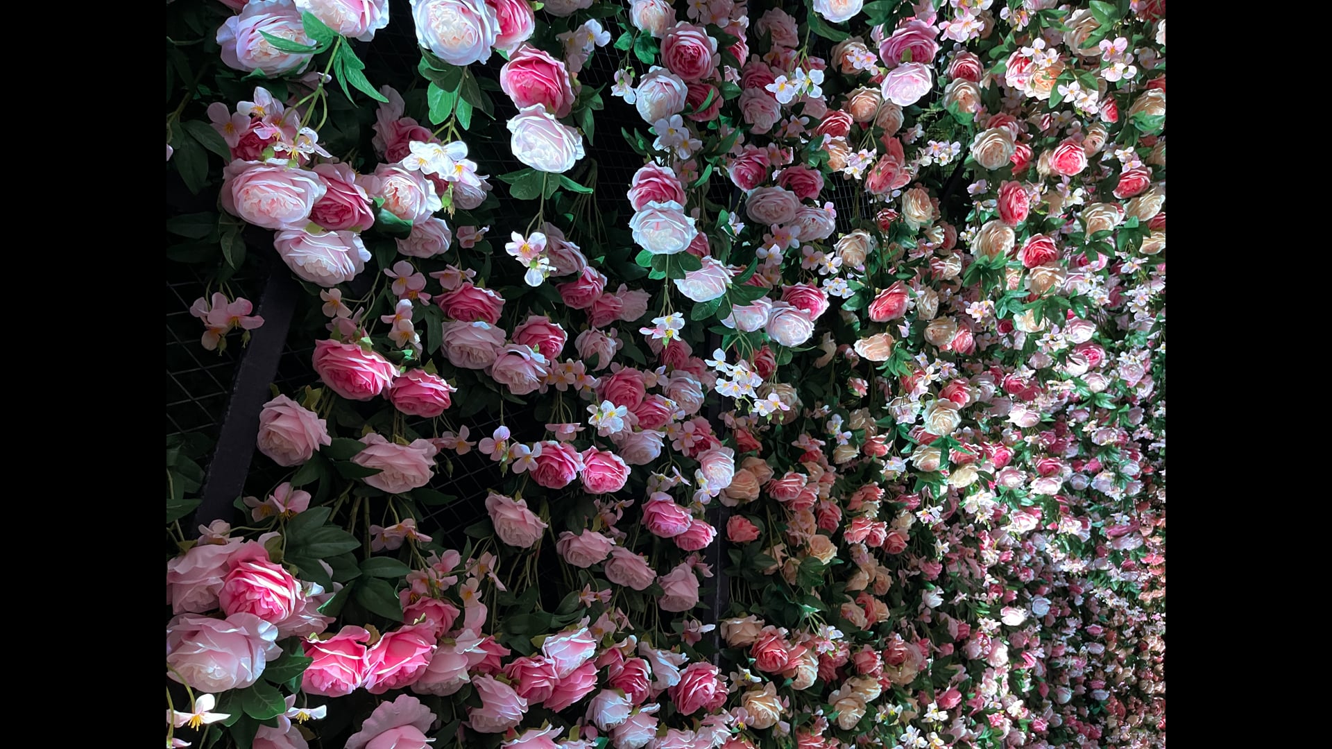 2025 March 24 : Supports We Can Use to Orient Ourselves Towards Equanimity