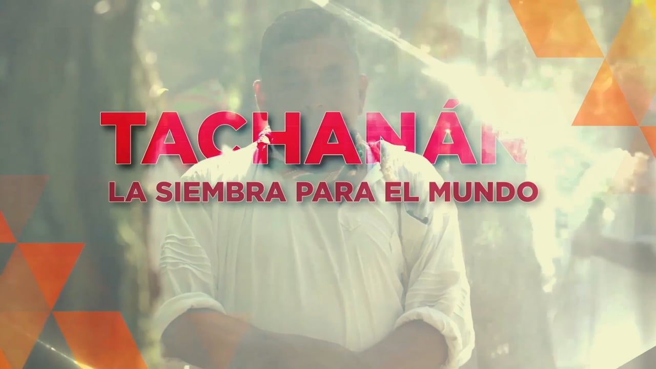 Lo Mejor de Cumbre Tajín 2025