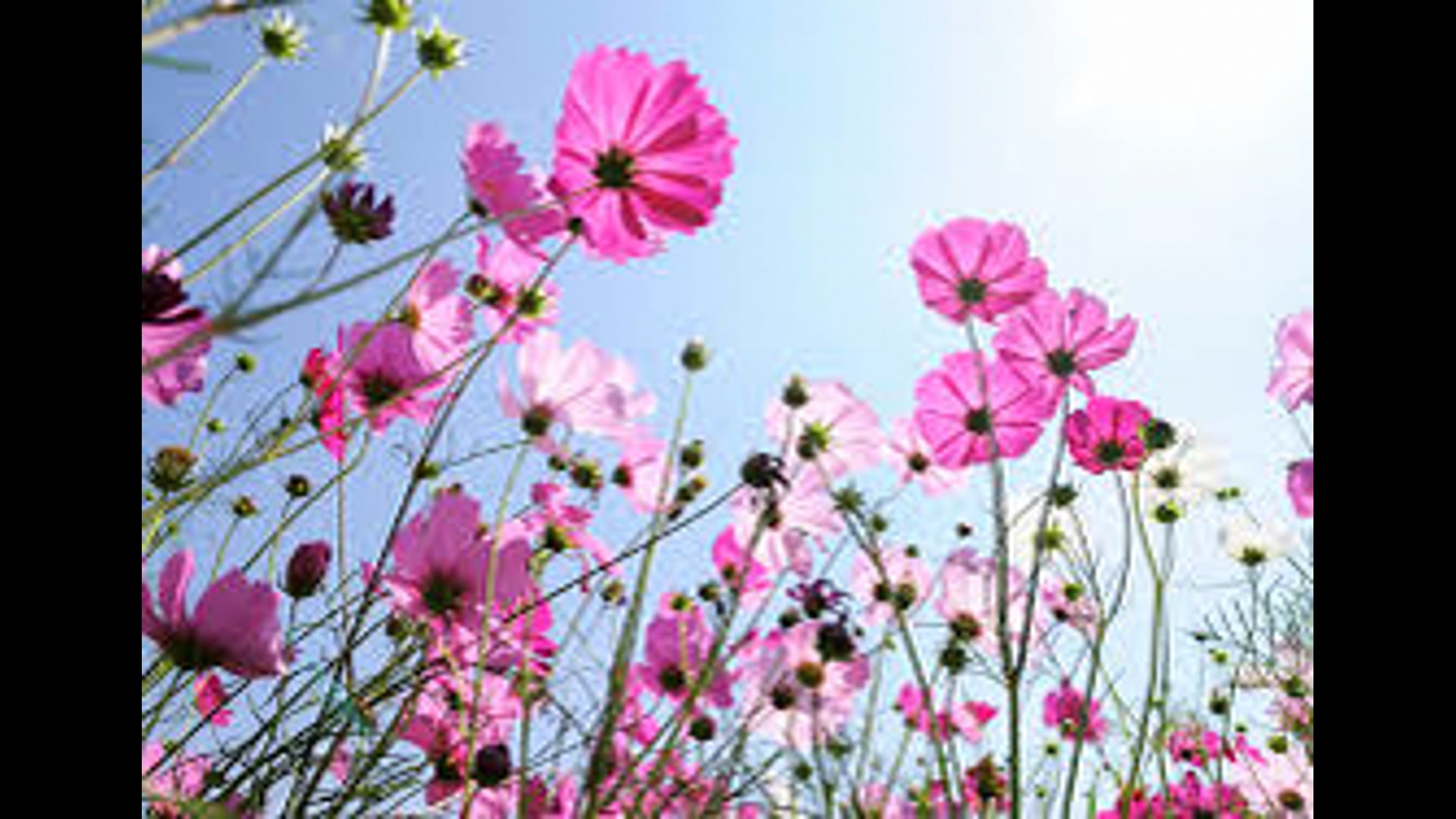 2025 March 31 : Shifting Out of the Good/Bad Binary