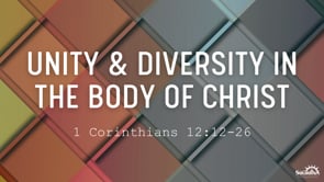 Unity & Diversity in the Body of Christ