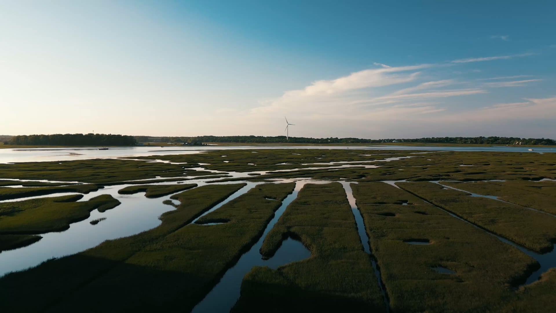 Marsh Drone Shot Summer
