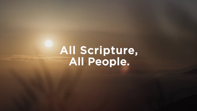 Seed Company - Overview Film