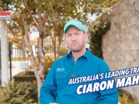 196 Dundeel x Epitomise F Ciaron Maher Promo