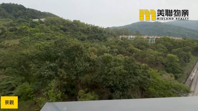 天鑽 大埔 中層 1688080 售盤