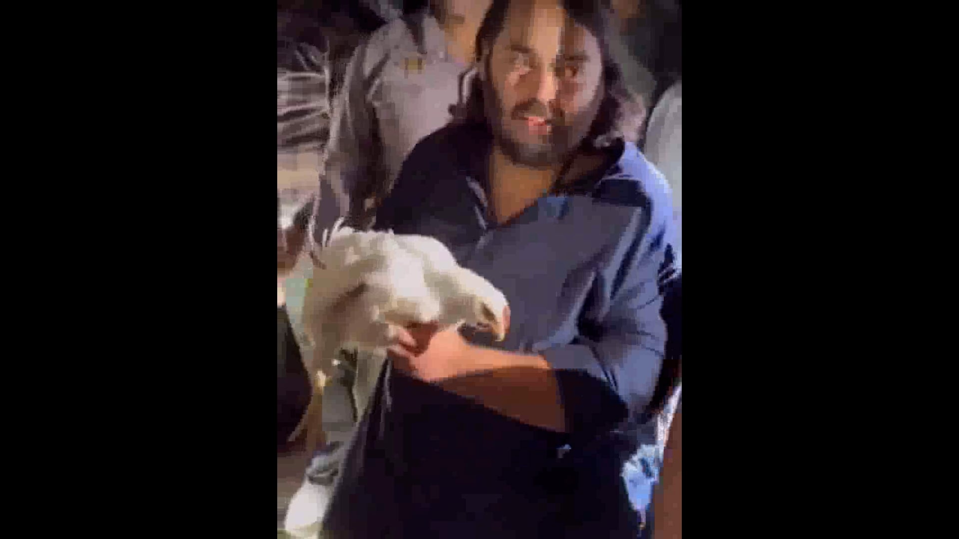 Anant Ambani's humanitarian step: Saved chickens being taken for slaughter 

અનંત અંબાણીનું માનવતાવાદી પગલું: બચાવેલી મરઘીઓને કતલ માટે લઈ જવામાં આવી રહી છે

#humanitarian
