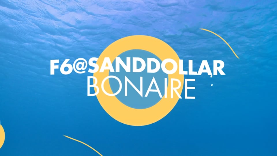 How to dive Bari Reef | F6 @ Sand Dollar Bonaire