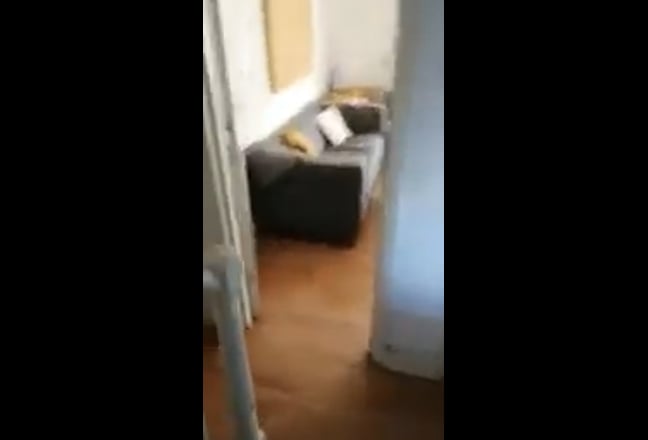 Video 1: