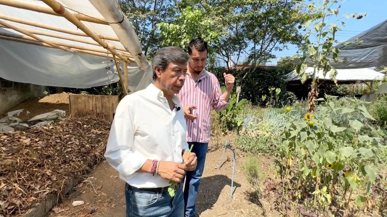 Huerto Bonilla