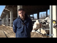 Emporvet en Mas Carous con Lely