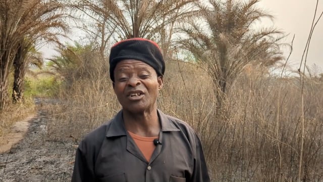 Les cendres de la palmeraie - Vidéo ePOP