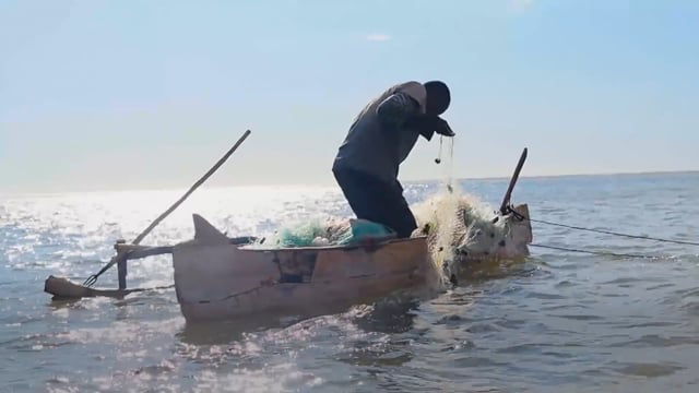 Pris au piège de la mer - Vidéo ePOP